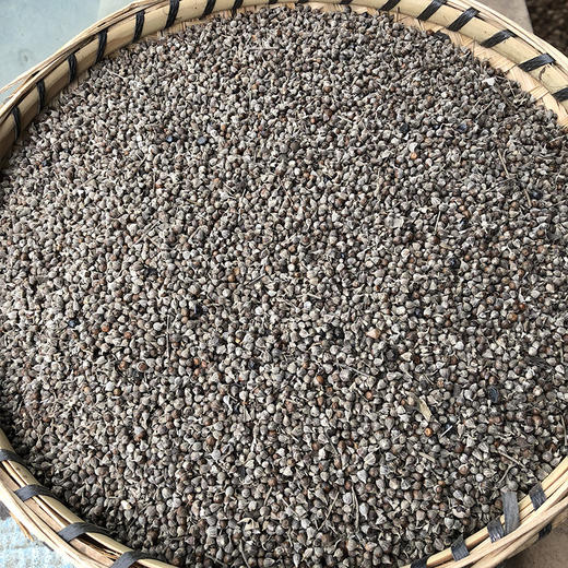 黄荆子 商品图1