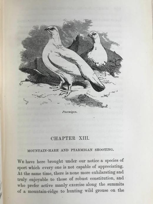 含藏书票！1886年 苏格兰高地与低地运动 52幅插图 漆布精装18开 商品图8