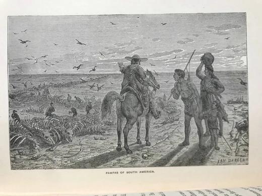 1887年 温带地区自然史 数十幅插图 漆布精装32开 商品图5