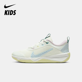 Nike Omni Multi-Court (GS) 大童公路跑步童鞋 DM9027