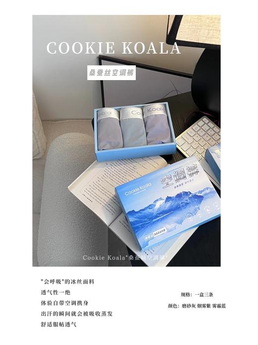 黛唯梵2023新款桑蚕丝男士空调裤冰丝无痕裸感舒适内裤轻薄透气男士四角平角内裤 商品图4