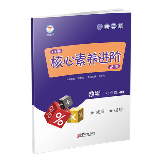 小学核心素养进阶练习丛书 数学 下册 （1~6年级） 商品图5