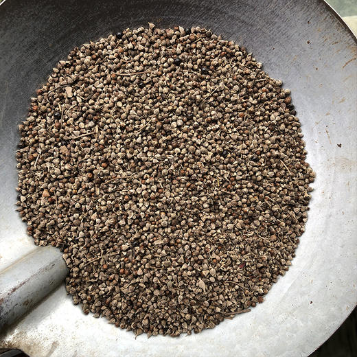 黄荆子 商品图4