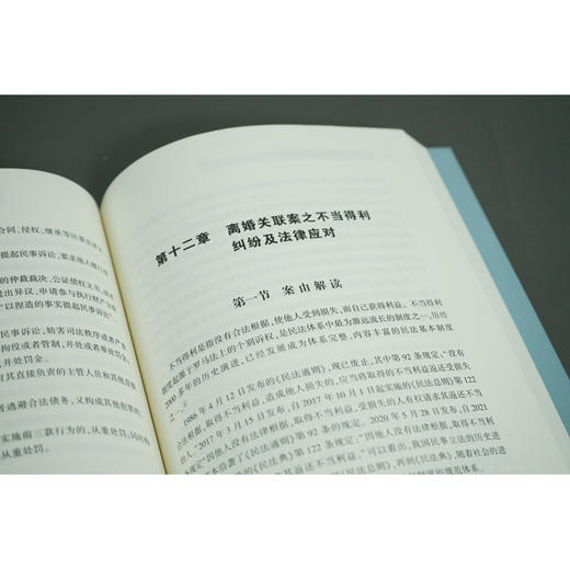 离婚关联纠纷法律应对指南 商品图1