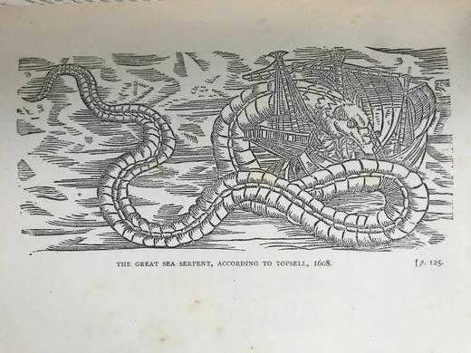 1899年 莎士比亚时代的英国小说 数十幅版画插图 漆布精装32开 商品图11