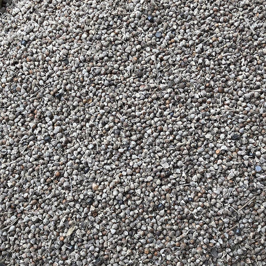 黄荆子 商品图2