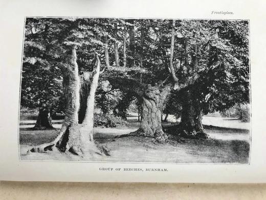 1892年 大自然之美与世界奇观 60余幅插图 漆布精装32开 商品图2