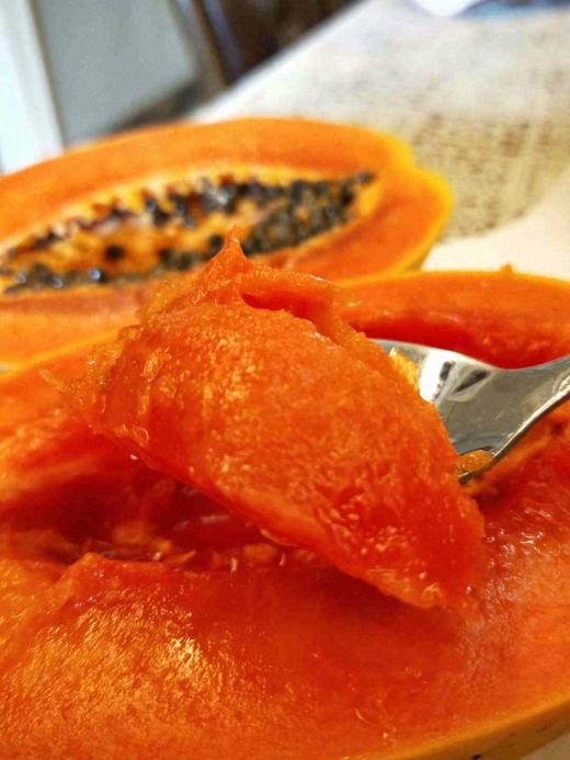 海南 牛奶 木瓜 大号【单颗】 商品图1