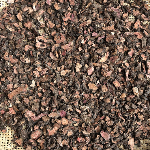 草血竭 商品图2