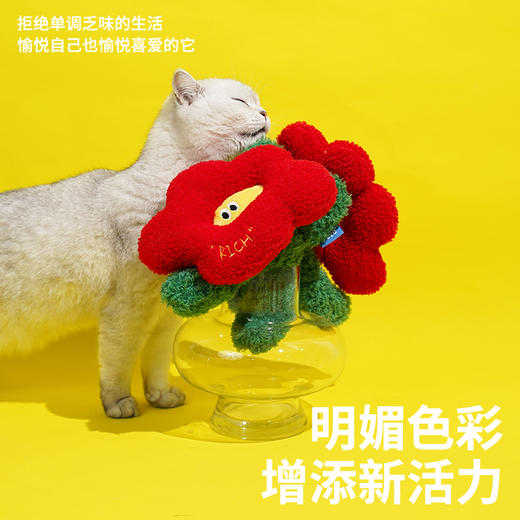 zeze有钱花抱枕-B （包邮） 商品图4