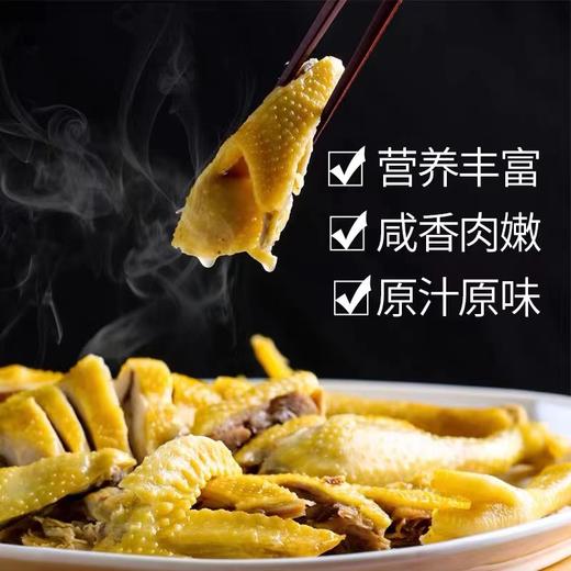 南然农庄客家盐焗鸡 商品图2