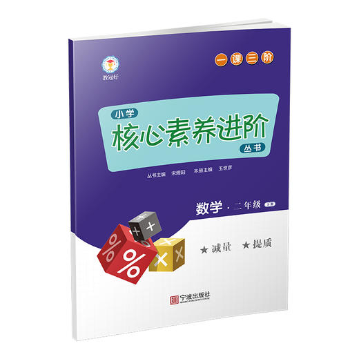 小学核心素养进阶练习丛书 数学 下册 （1~6年级） 商品图1