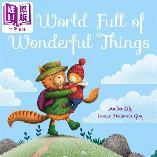【中商原版】World Full of Wonderful Things 美好的世间 英文原版 进口图书 商品图0