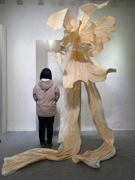 瀑布花（运费自理） 商品图5