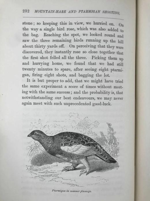 含藏书票！1886年 苏格兰高地与低地运动 52幅插图 漆布精装18开 商品图7