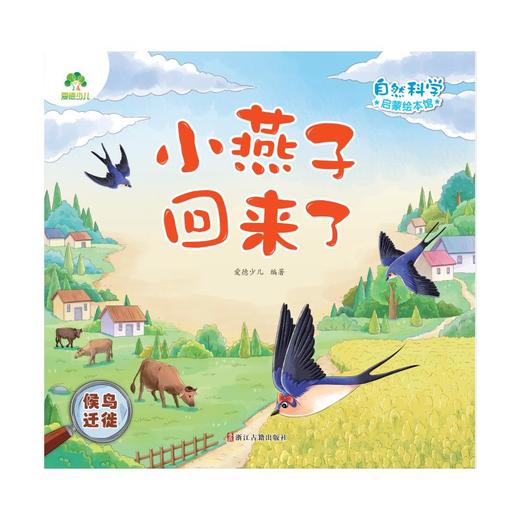 小燕子回来了 候鸟迁徙 商品图0