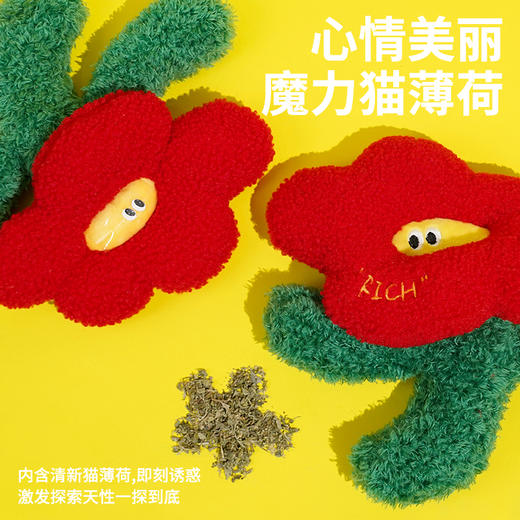 zeze有钱花抱枕-B （包邮） 商品图3