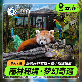 【雨林秘境 亲子奇遇】西双版纳+普洱7天6晚童趣之旅