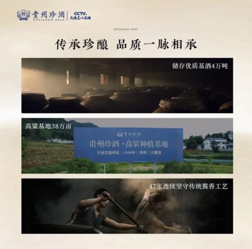 【珍酒】珍十五 500ml*6-酱香型53度 商品图3