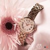 1F【天梭】TISSOT天梭小美人系列石英腕表 商品缩略图0