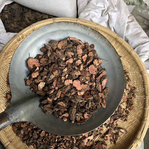 草血竭 商品图3