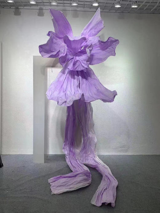 瀑布花（运费自理） 商品图6