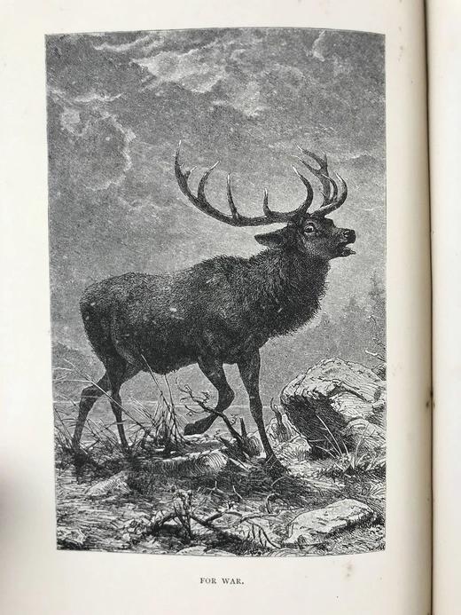 含藏书票！1886年 苏格兰高地与低地运动 52幅插图 漆布精装18开 商品图3