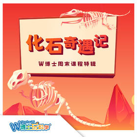【北京】化石特辑--化石的年轮 I 远古的宝藏