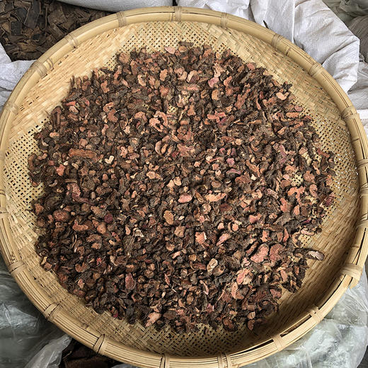 草血竭 商品图0