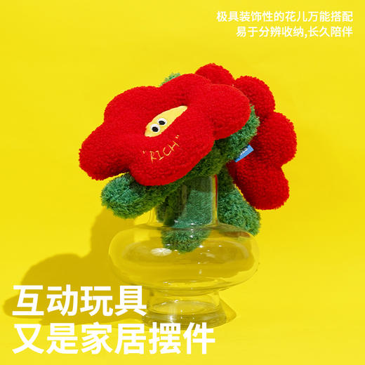 zeze有钱花抱枕-B （包邮） 商品图2