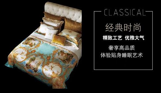 ROYALCOVER/罗卡芙复古洛可可宫廷风真丝数码印花四件套布吕尔宫 商品图7