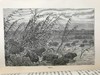 1887年 温带地区自然史 数十幅插图 漆布精装32开 商品缩略图12