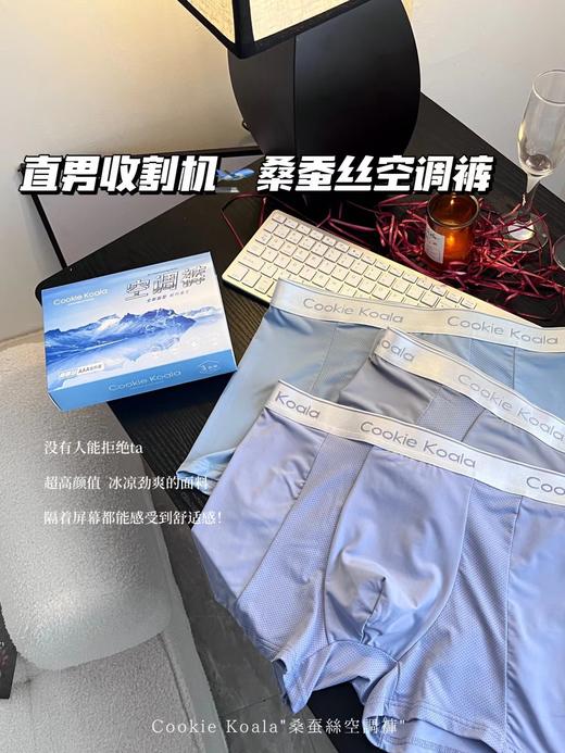 黛唯梵2023新款桑蚕丝男士空调裤冰丝无痕裸感舒适内裤轻薄透气男士四角平角内裤 商品图0