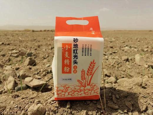 雁归情砂地红光头小麦粉 天然优质小麦 自留种老品种 高蛋白 低脂肪 低热能 567项农残0检出 商品图0