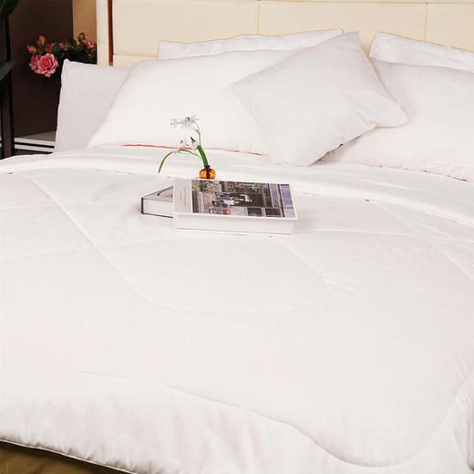 钱皇·花时 高端床品的优选材料，100%桑蚕丝填充（短丝），质感好，柔润细腻， 吸湿透气，轻若无物，舒适的像睡在云朵里 商品图5