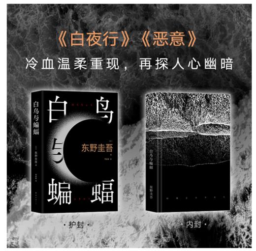 白鸟与蝙蝠（东野圭吾出道35周年，荣耀新高峰！） 商品图1