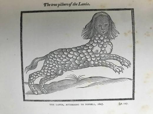 1899年 莎士比亚时代的英国小说 数十幅版画插图 漆布精装32开 商品图13