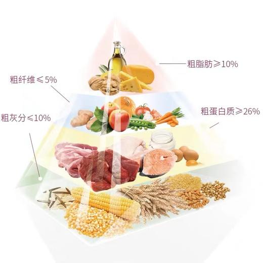 诺瑞全价幼年期猫粮奶糕及幼猫添加蛋黄500g 商品图2