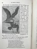 1887年 温带地区自然史 数十幅插图 漆布精装32开 商品缩略图9