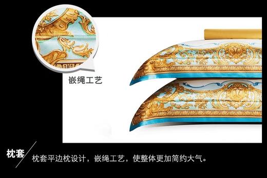ROYALCOVER/罗卡芙复古洛可可宫廷风真丝数码印花四件套布吕尔宫 商品图5