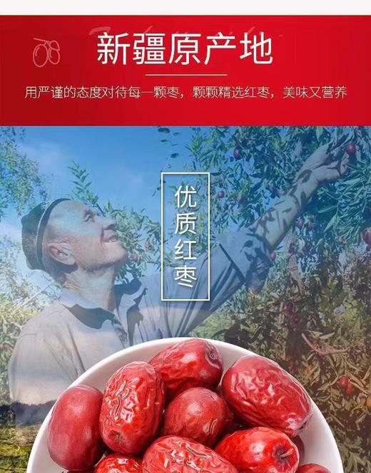 新疆若羌红枣500g*1袋特级枣【FY】 商品图5