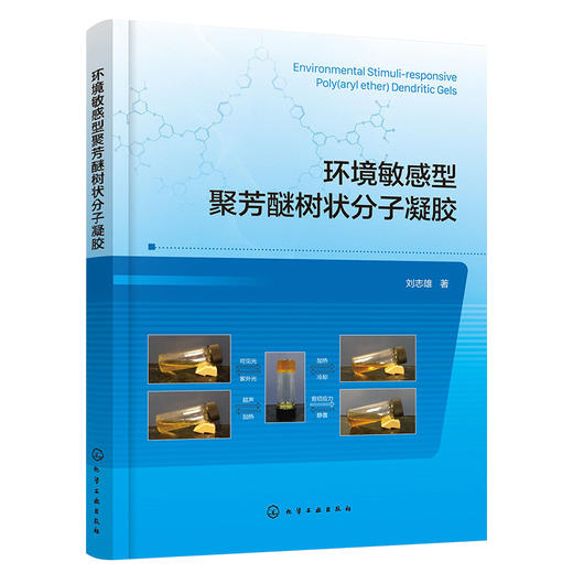 环境敏感型聚芳醚树状分子凝胶 商品图1