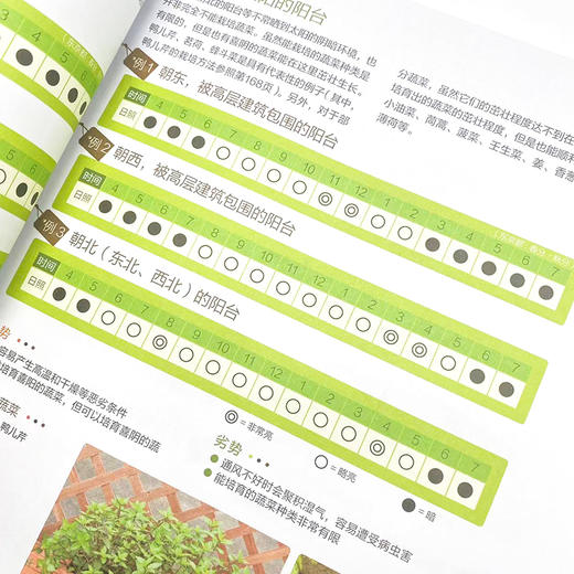 在阳台上种菜 阳台小菜园手把手教你阳台种菜 园艺书籍 种菜书籍 商品图4