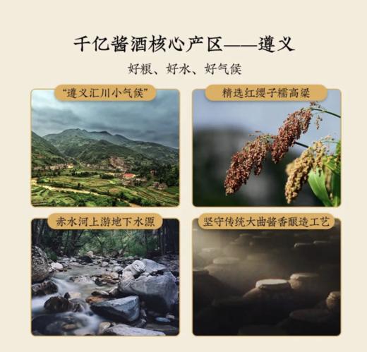 【珍酒】珍八 500ml*6-酱香型53度 商品图4