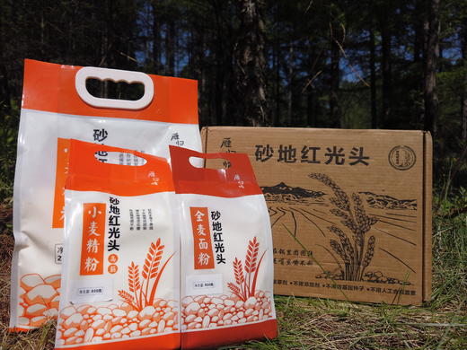 雁归情砂地红光头全麦面粉 天然优质小麦 自留种老品种 筋度高 麦香浓 567项农残0检出 可做馒头包子面条面包 商品图3