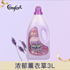 金纺衣物柔顺剂紫色薰衣幽香3L 商品缩略图0