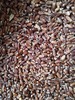 【康养必备】黑麦面粉9斤、生态种植8年，自然疗法专用 //军丽农庄 商品缩略图3