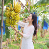 【发货后不支持申请退换】【吃了还想吃的天宝香蕉】树上熟 无农残  不打除草剂  不打膨大剂   自然生长  两千多年种植历史 商品缩略图0