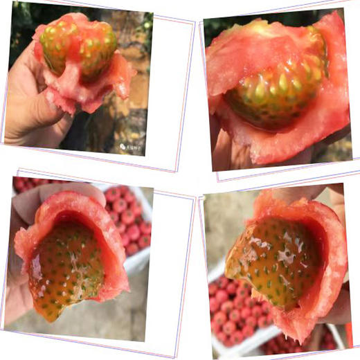 绿腚草莓水果小番茄4.8斤 商品图1