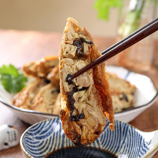 佛家纯素肉素八宝鸭杭州特产小吃素鸭素烧鹅即食豆制食品 商品图1